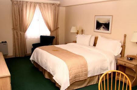 Quality & Hotel