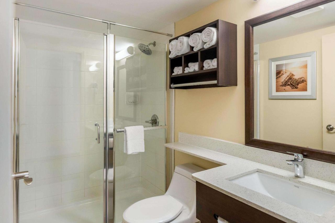 Quality & Hotel